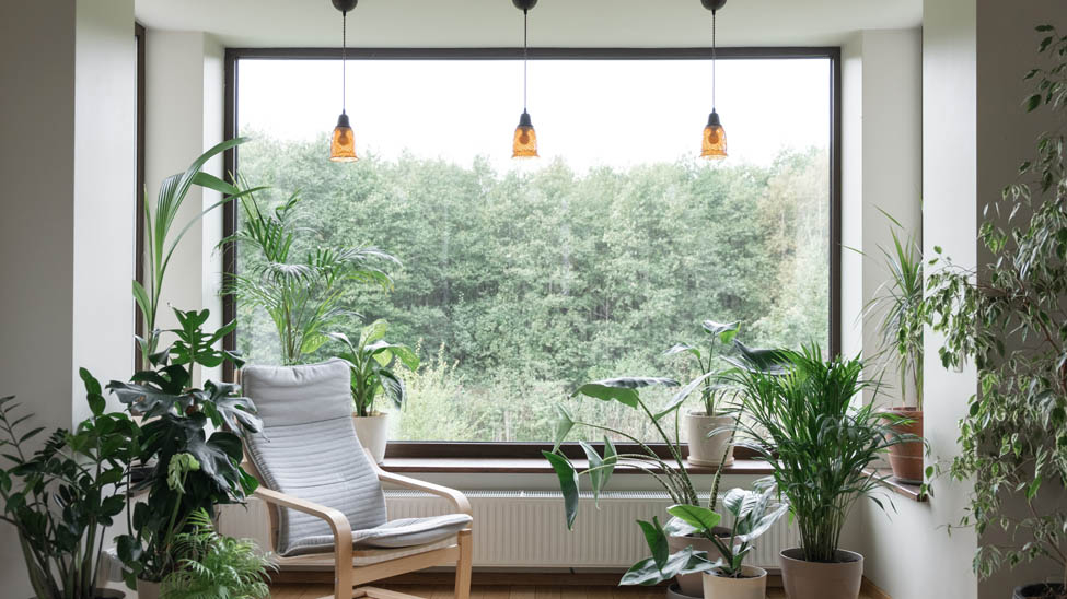 Blinds and shades for modern organic decor