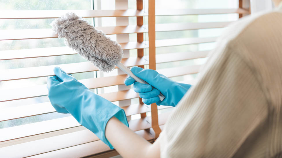 Dust resistant blinds
