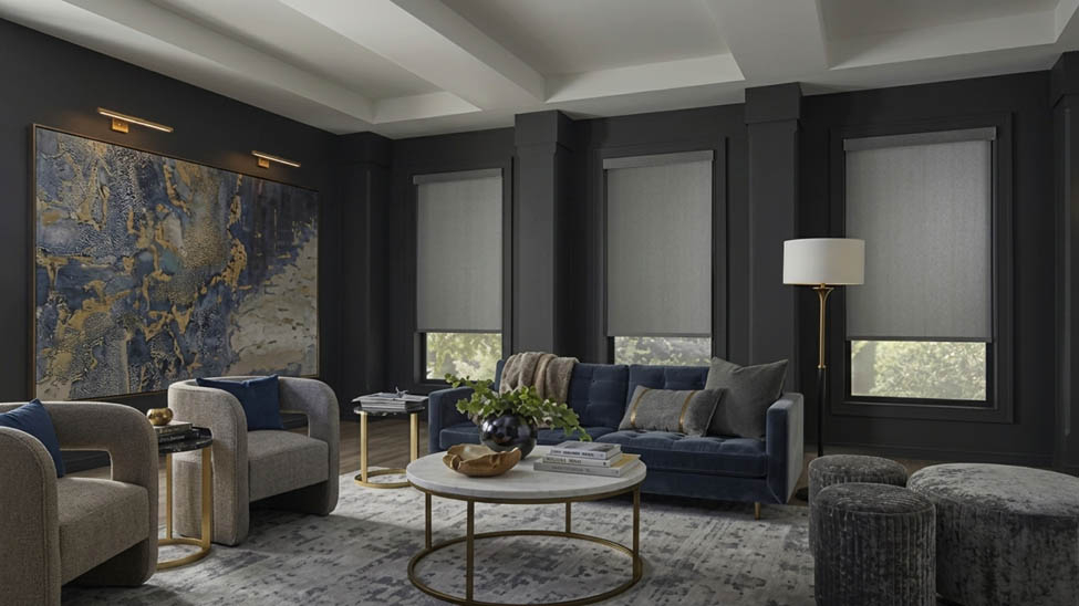 Minimalist window treatment ideas