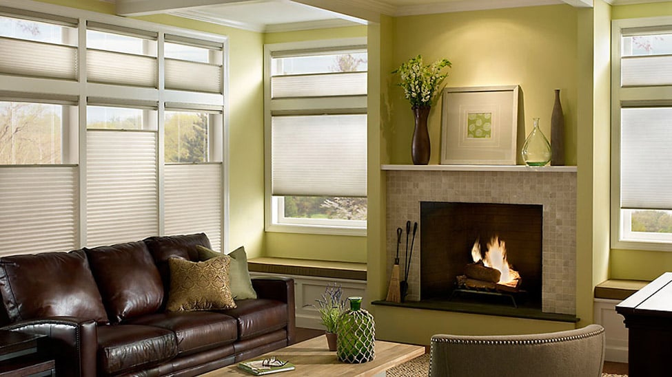 Cellular & Sheer Shades Top Picks