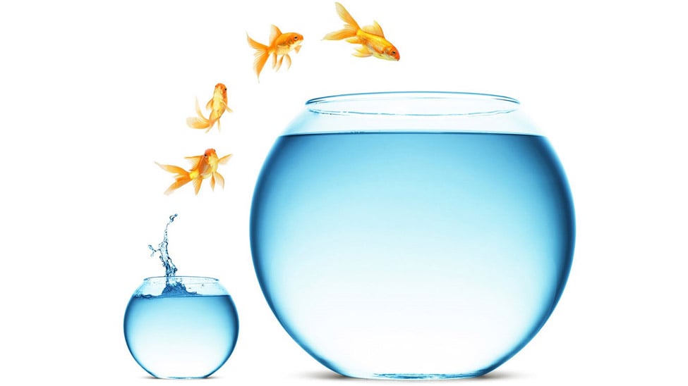 10 Signs You Need a Bigger Home