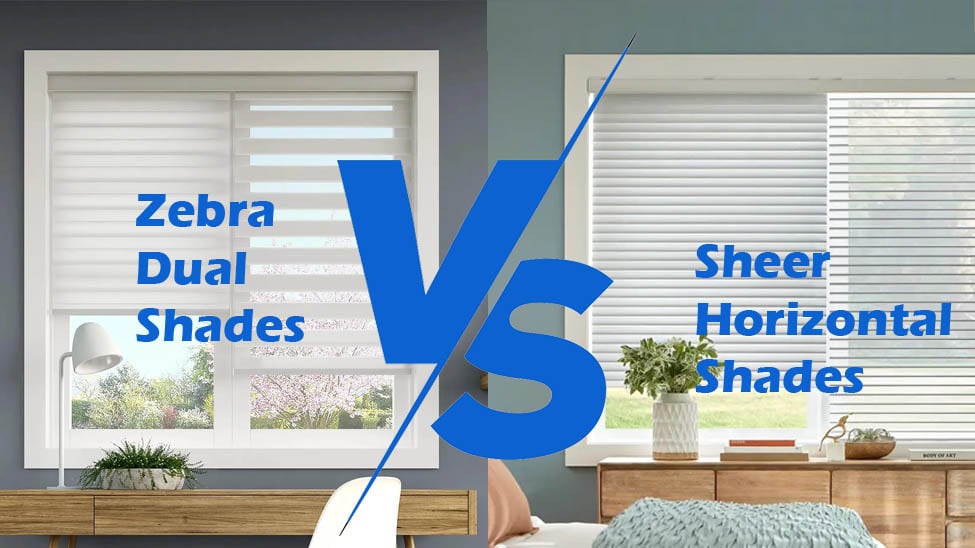 Zebra Dual Shades vs Sheer Horizontal Shades: Which Window Treatment Suits Your Home?