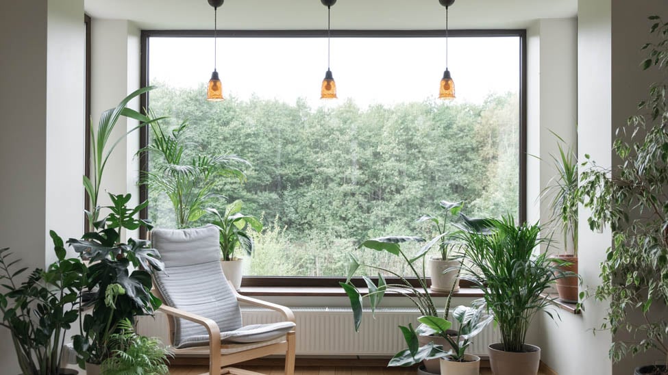 Best Blinds for Your Modern Organic Style Home