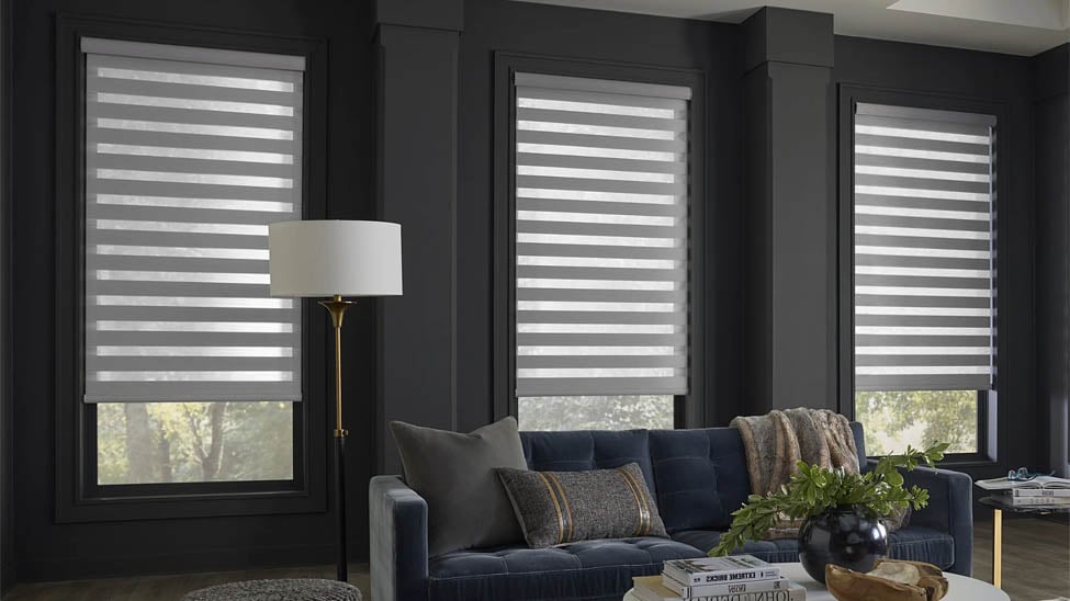 Statement Window Shades Ideas