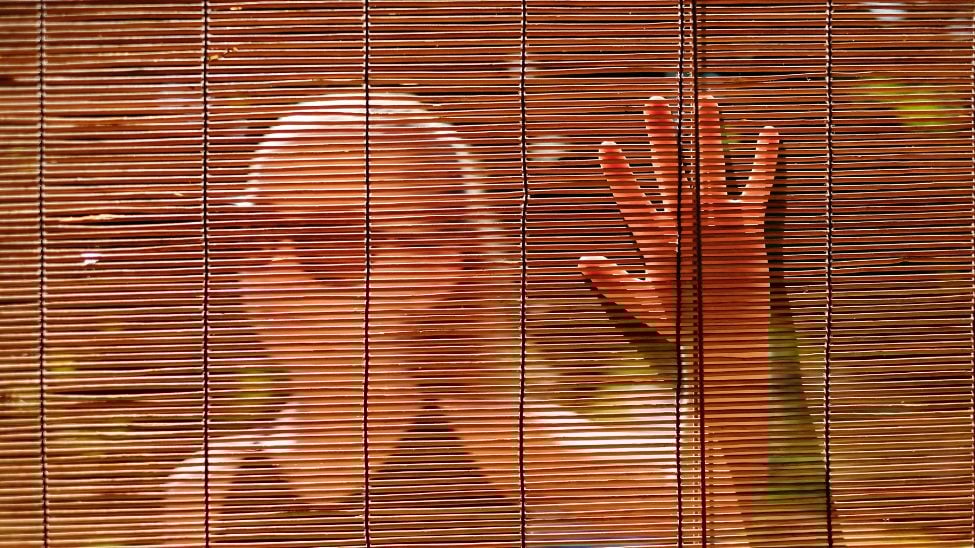 5 Facts about Bamboo Shades