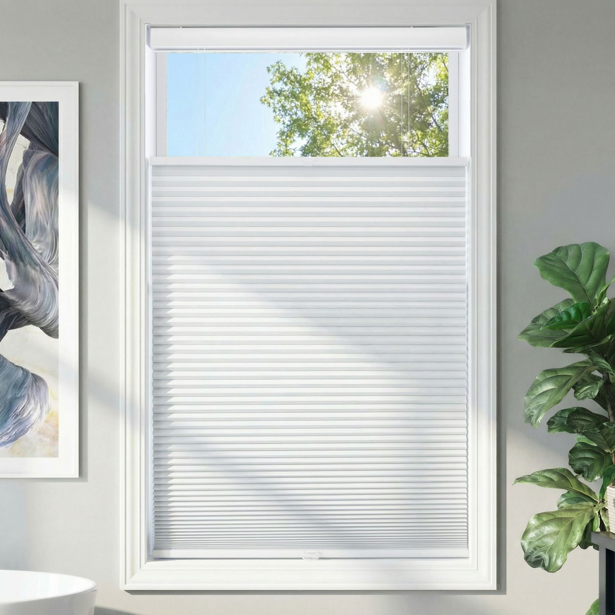 Cordless Blackout Top Down Bottom Up Single Cellular Shades