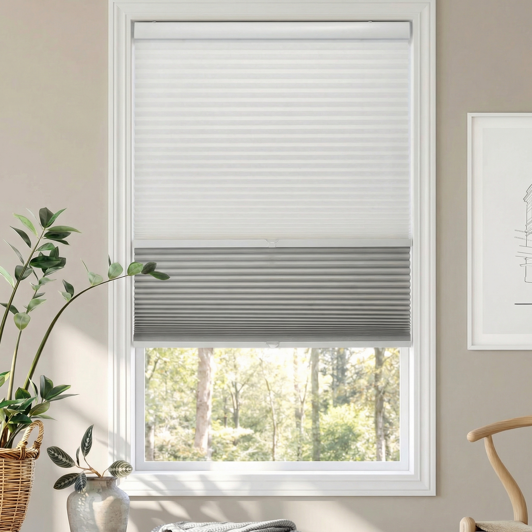 Cordless Day/Night Single Cellular Shades