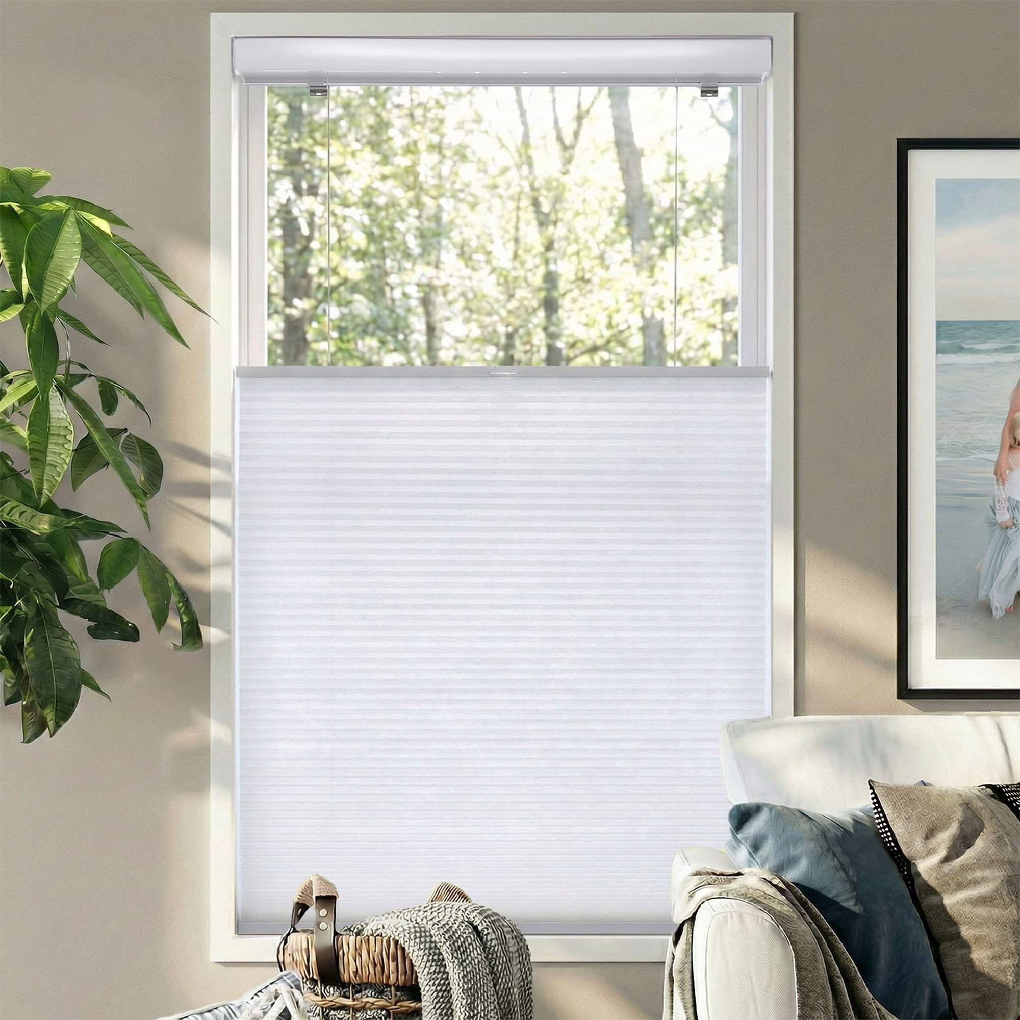 Cordless Light Filtering Top Down Bottom Up Single Cellular Shades