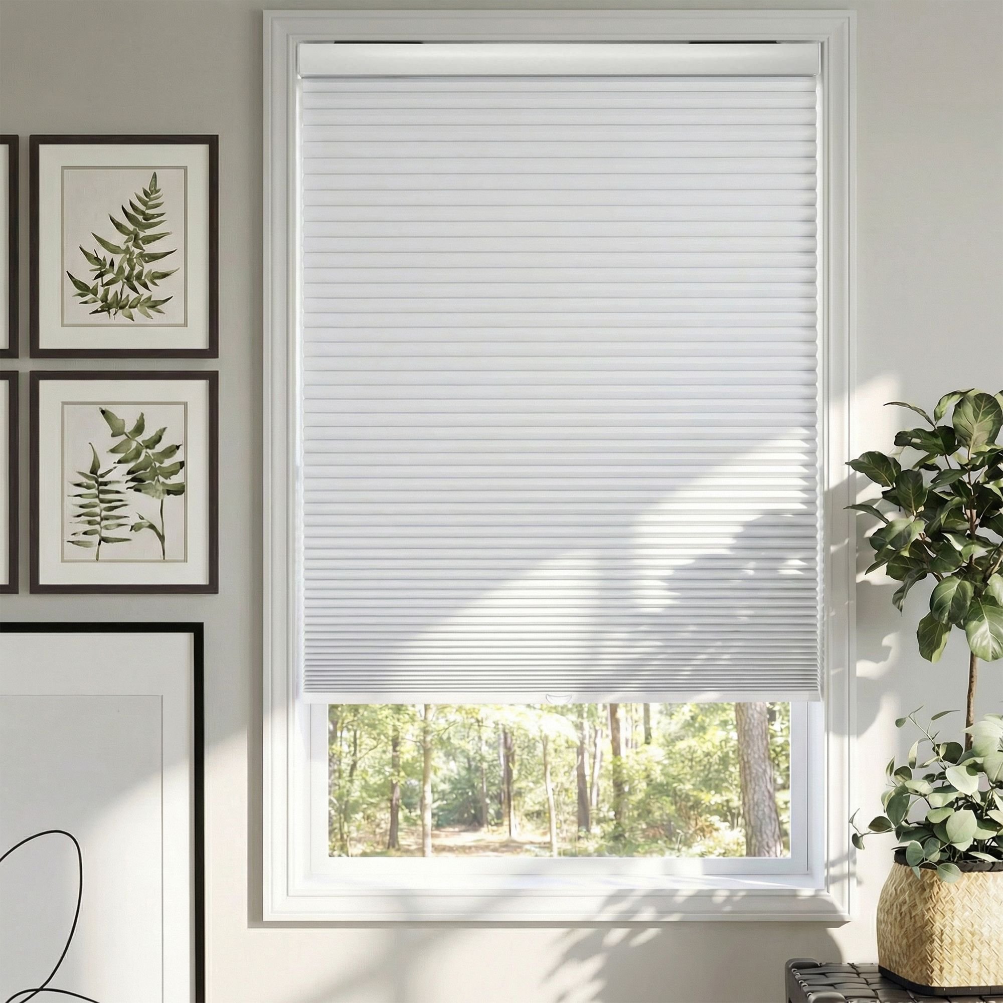 No Tools Cordless Blackout Single Cellular Shades