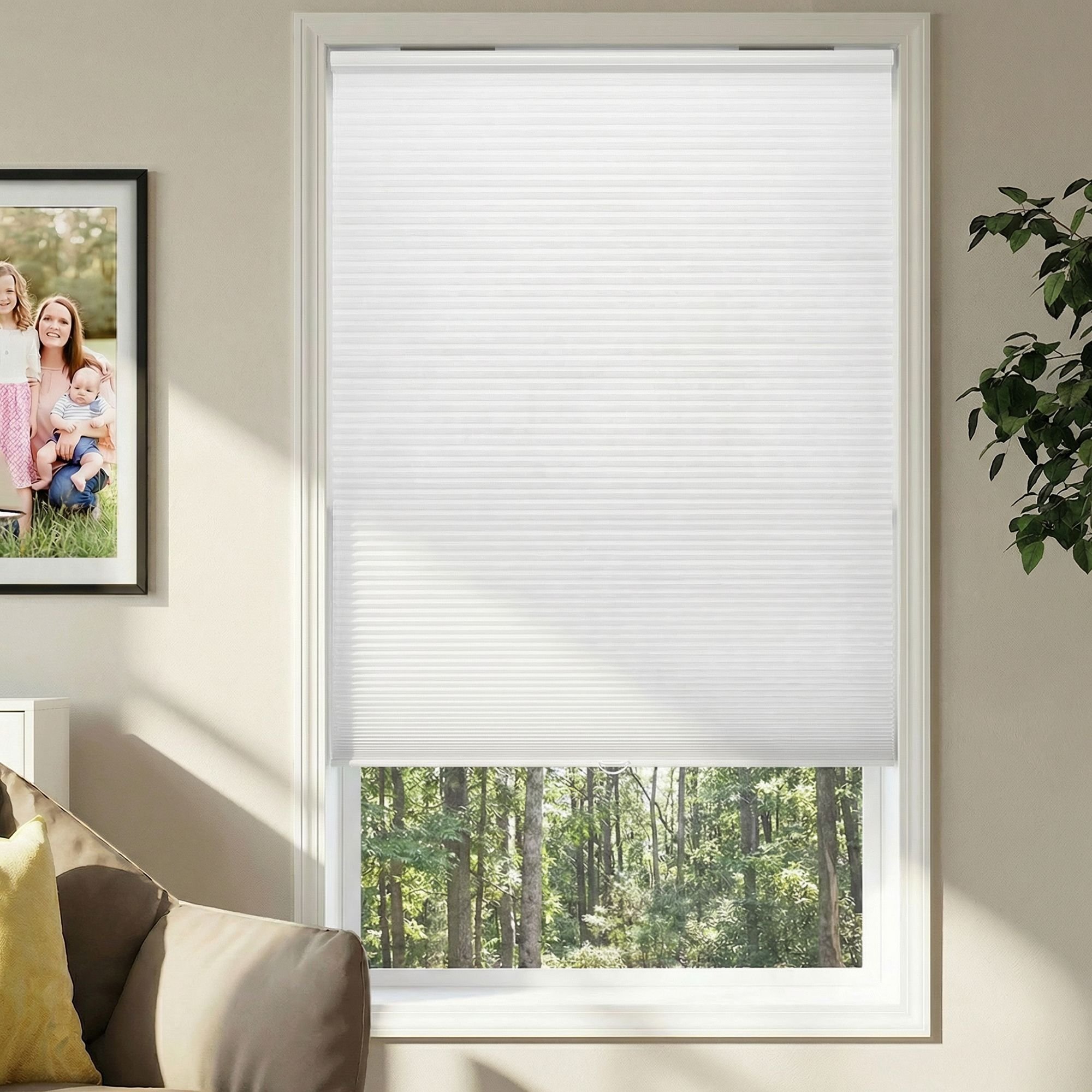 No Tools Cordless Light Filtering Single Cellular Shades