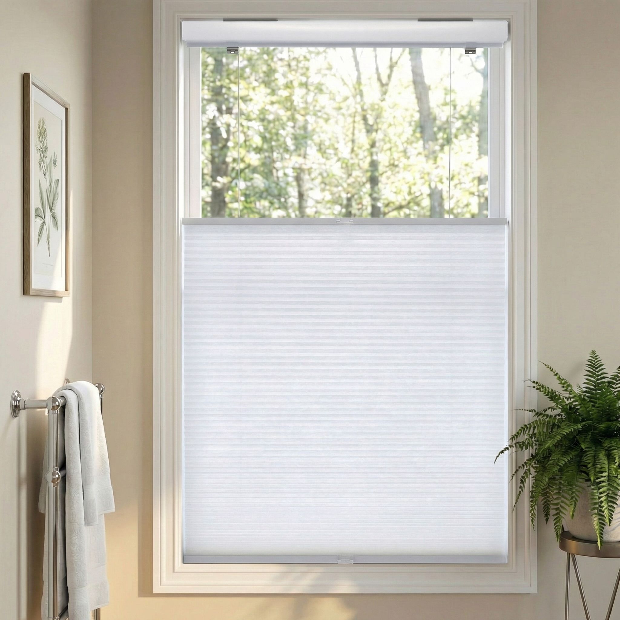 No Tools Cordless Top Down Bottom Up Single Cellular Shades