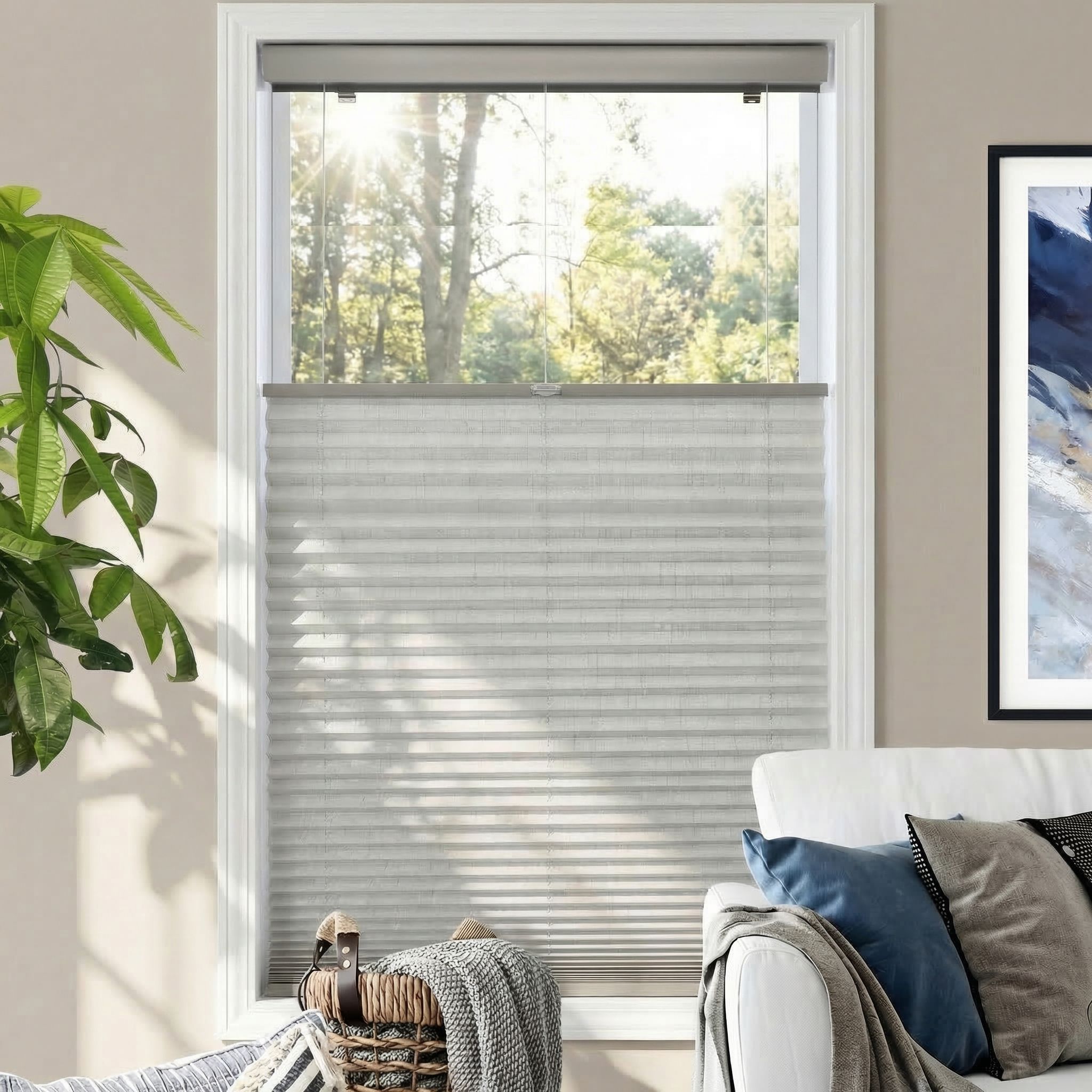 Deluxe Cordless Top Down Bottom Up Pleated Shades 