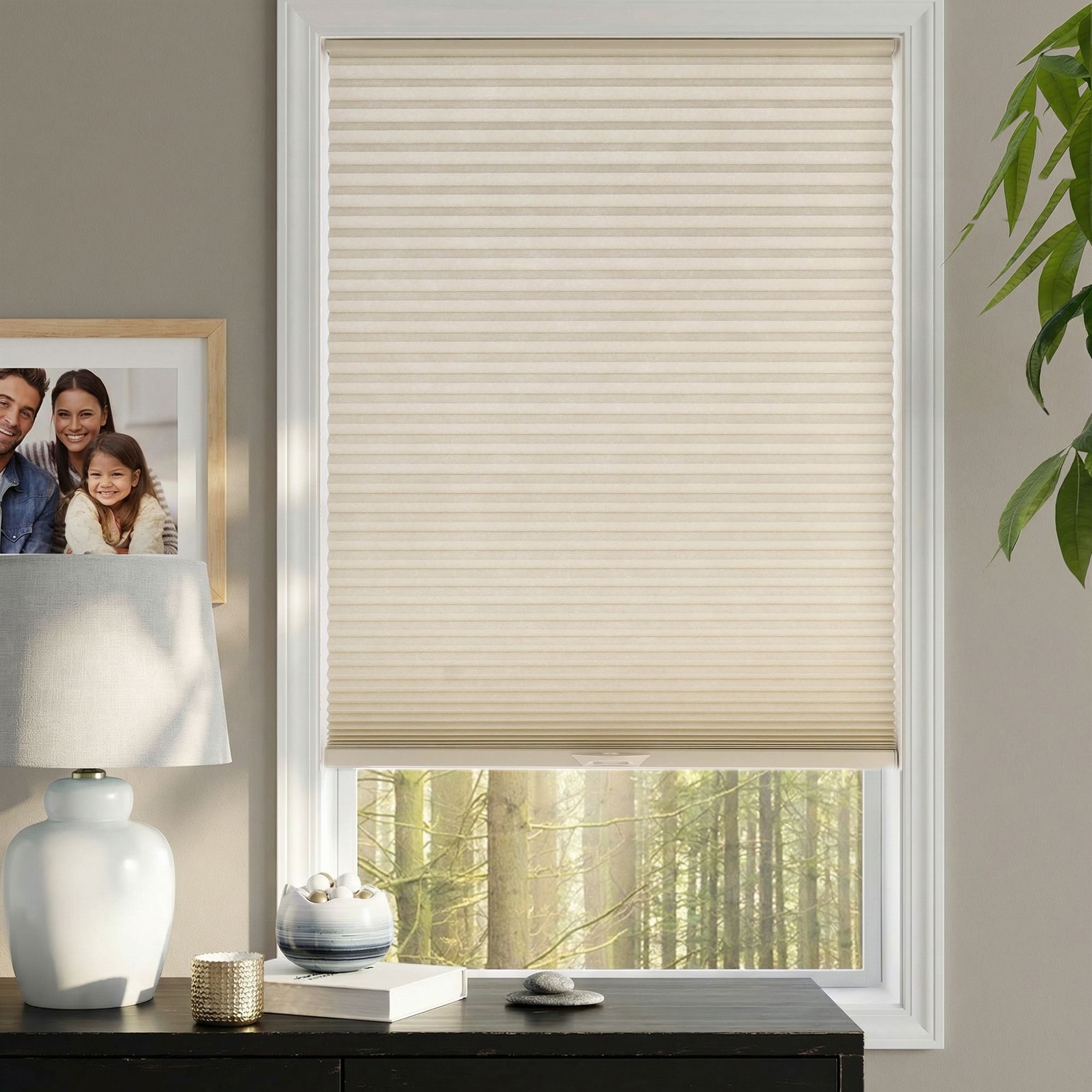 Deluxe Light Filtering Single Cellular Shades