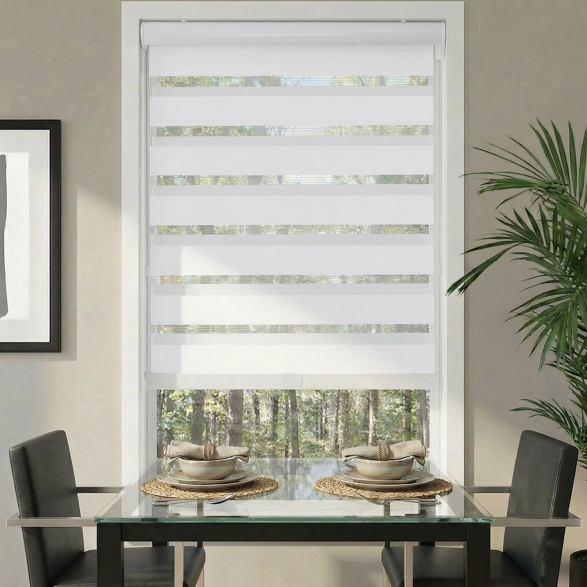 Deluxe Light Filtering Zebra Dual Shades