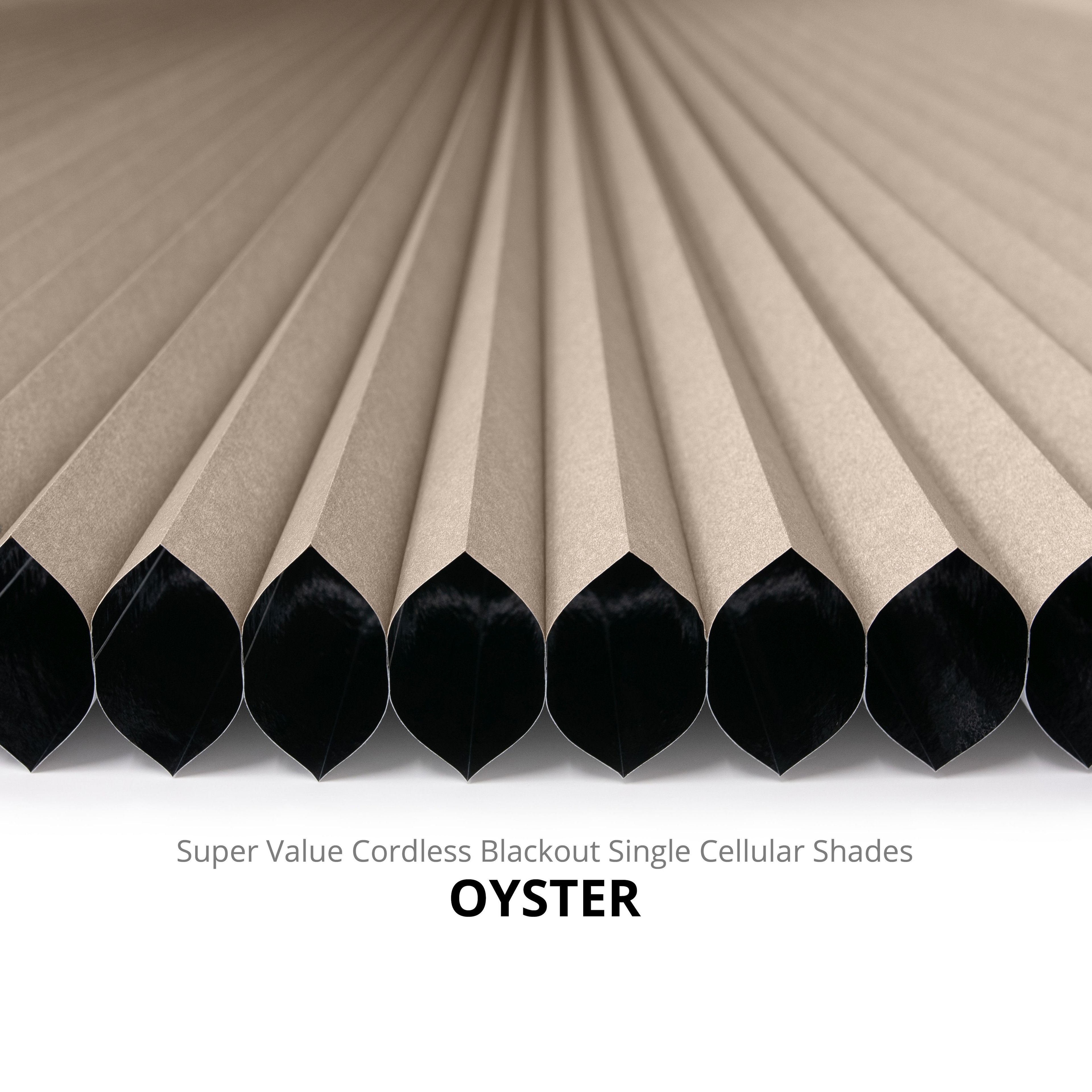 Oyster