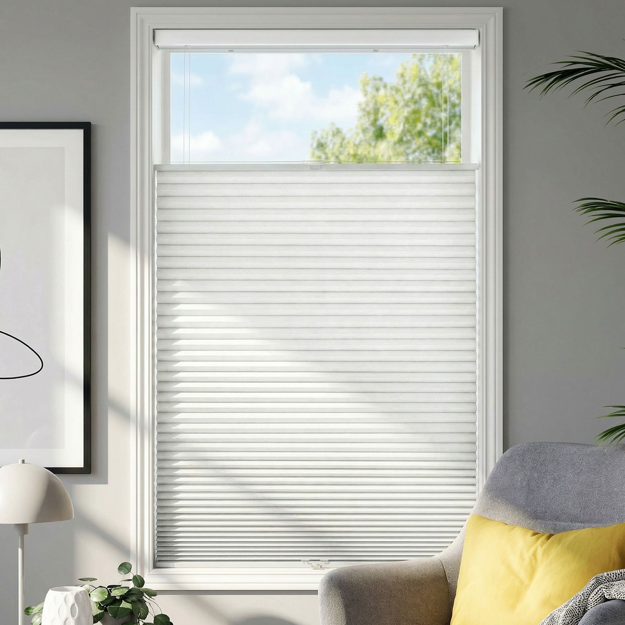 Super Value Cordless Blackout Top Down Bottom Up Single Cellular Shades