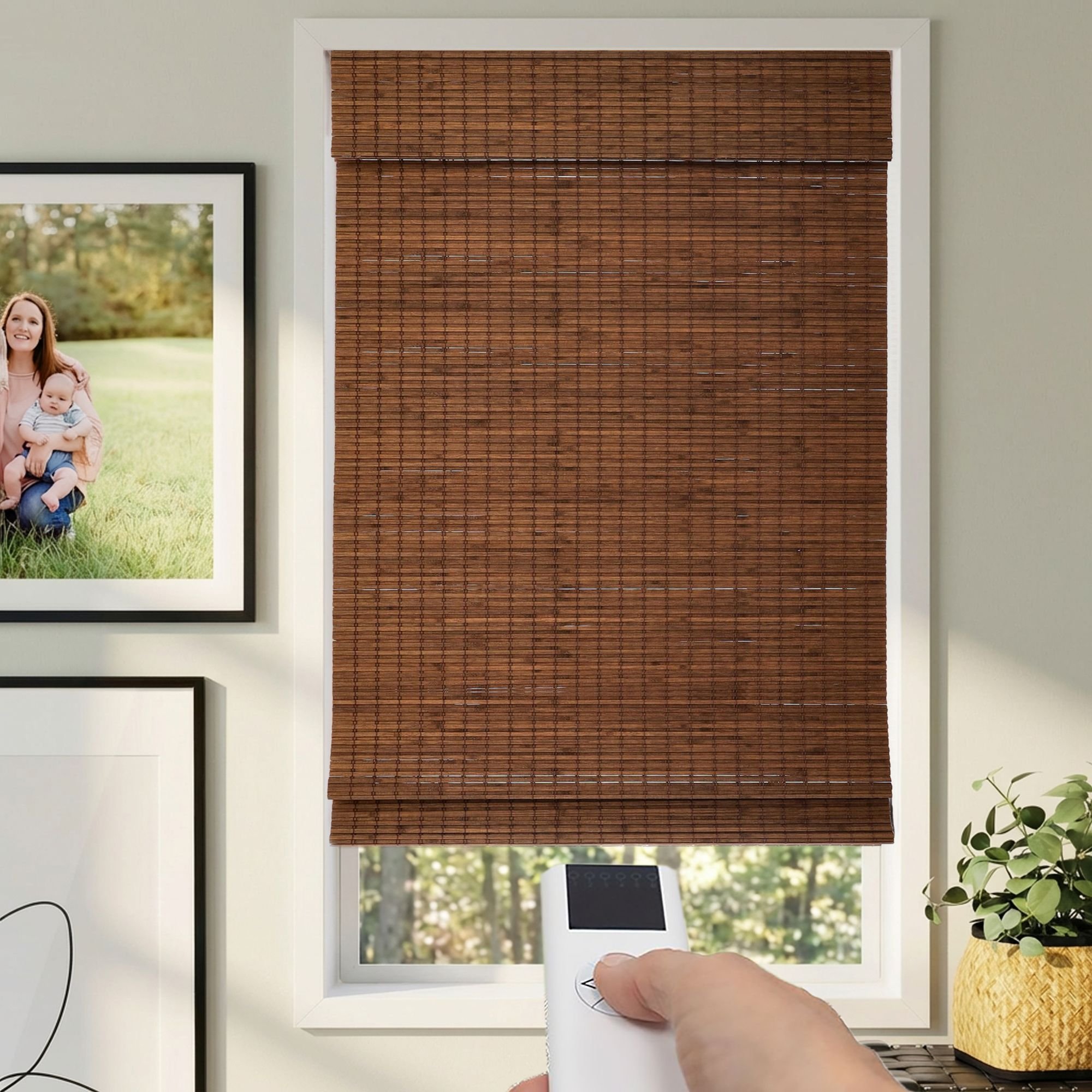 Super Value Motorized Bamboo Woven Wood Shades