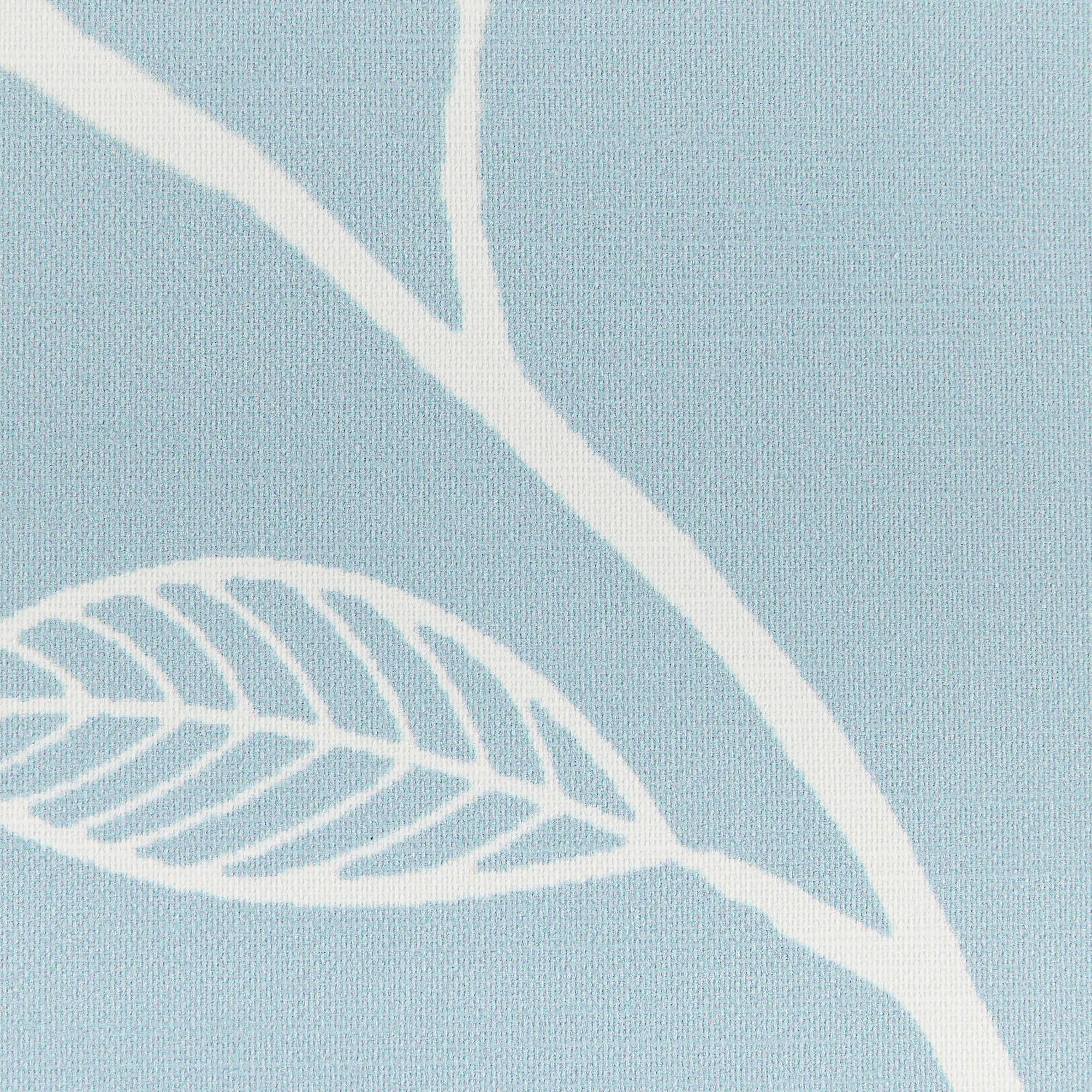 Providence - Blue Jay