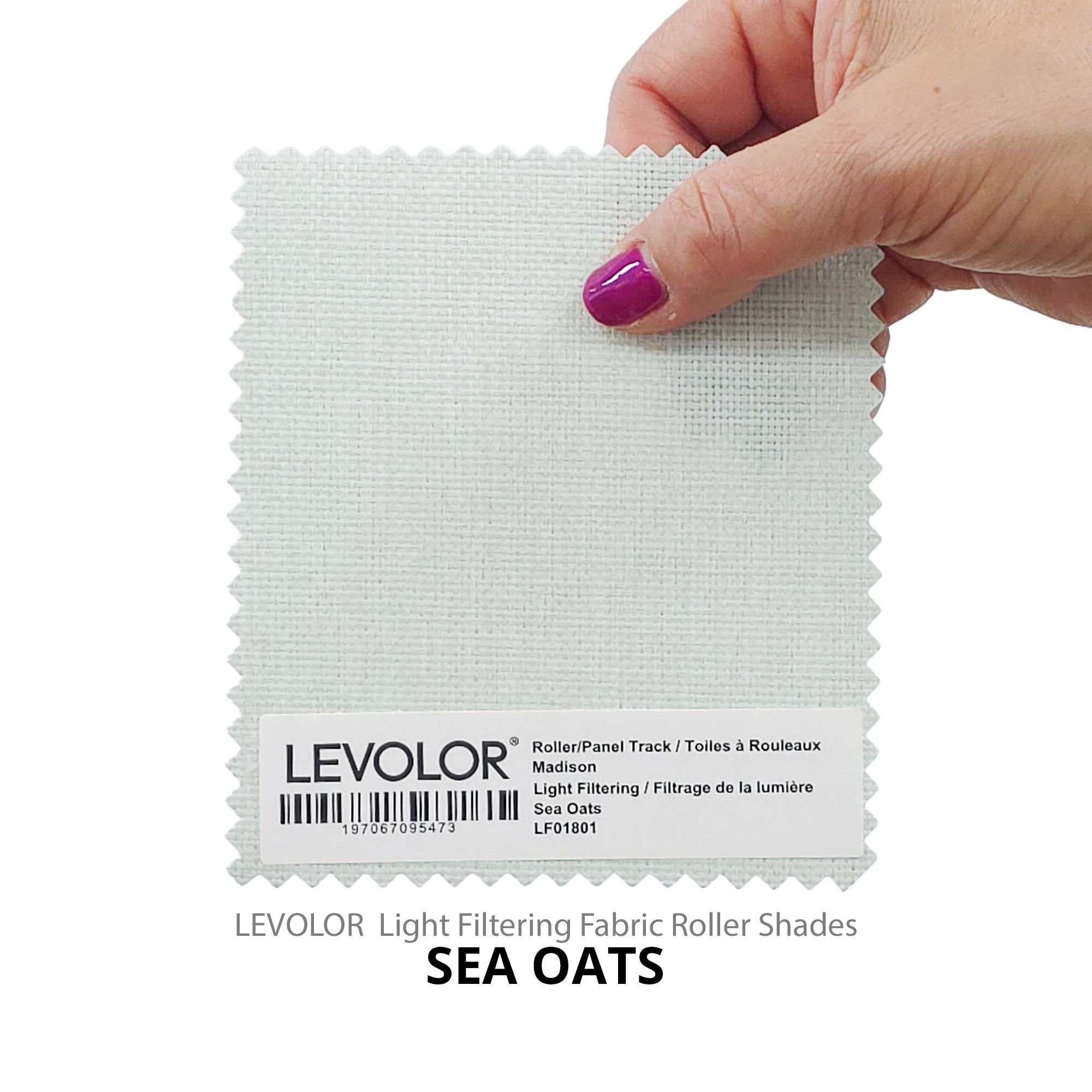 Sea Oats