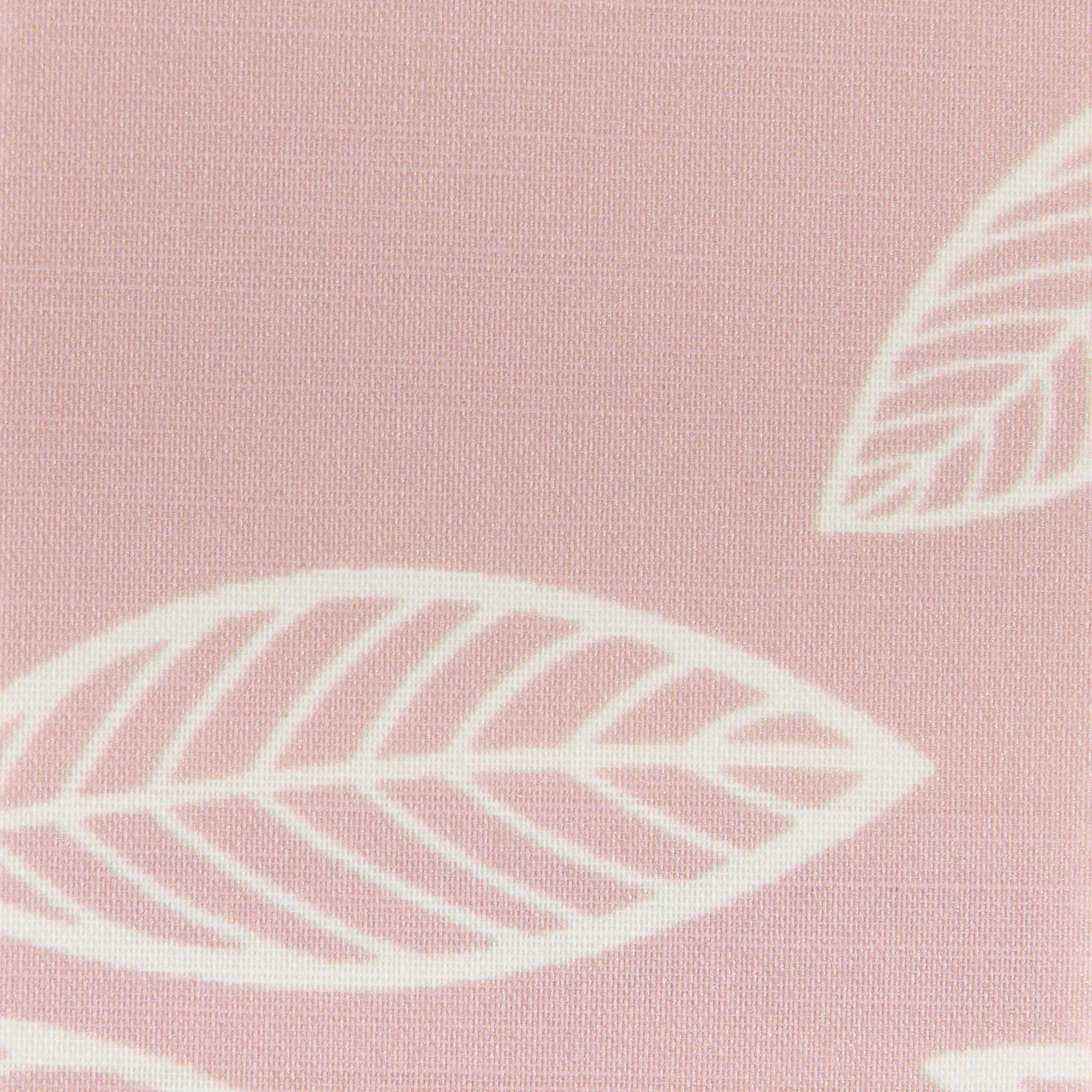 Providence - Rose