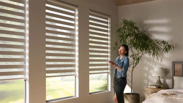 Motorized zebra shades with remote control