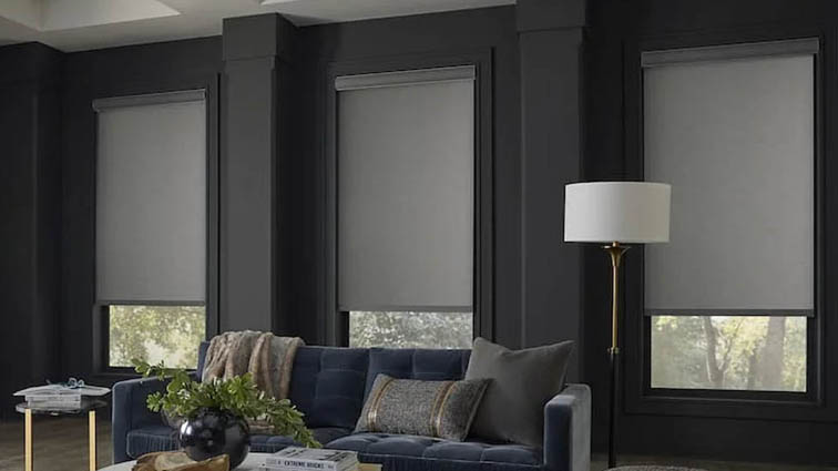 Blackout roller shades in living room