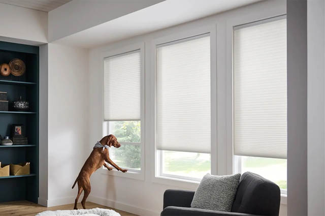 Custom shades in a living room