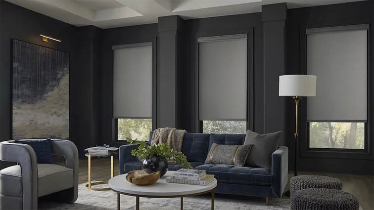 Roller shades in living room