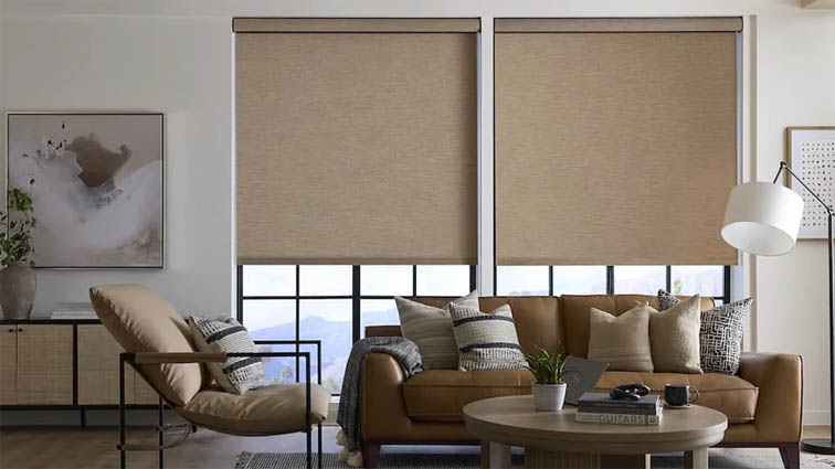 Roller shades in a living room