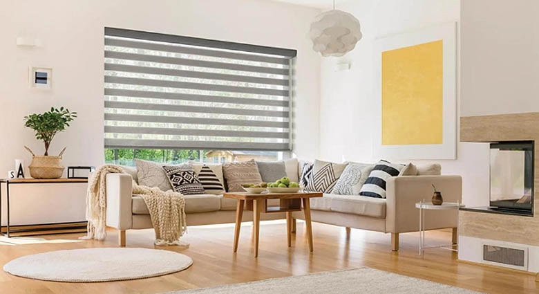 Zebra dual shades in living room