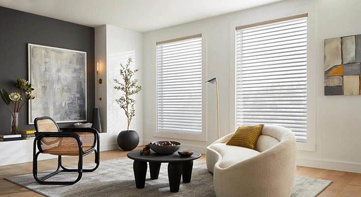 Light filtering shades in a living room