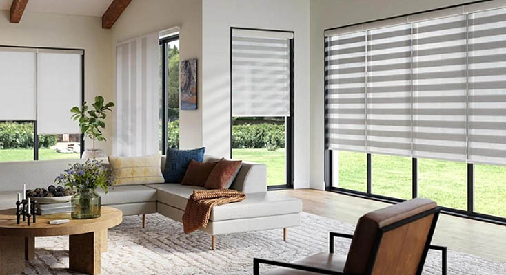 Zebra dual shades in living room