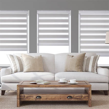 Zebra shades in a living room