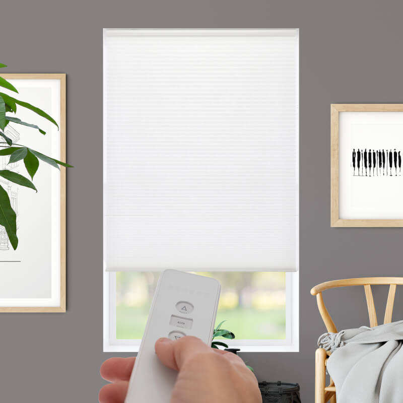 Motorized Light Filtering Single Cellular Shades