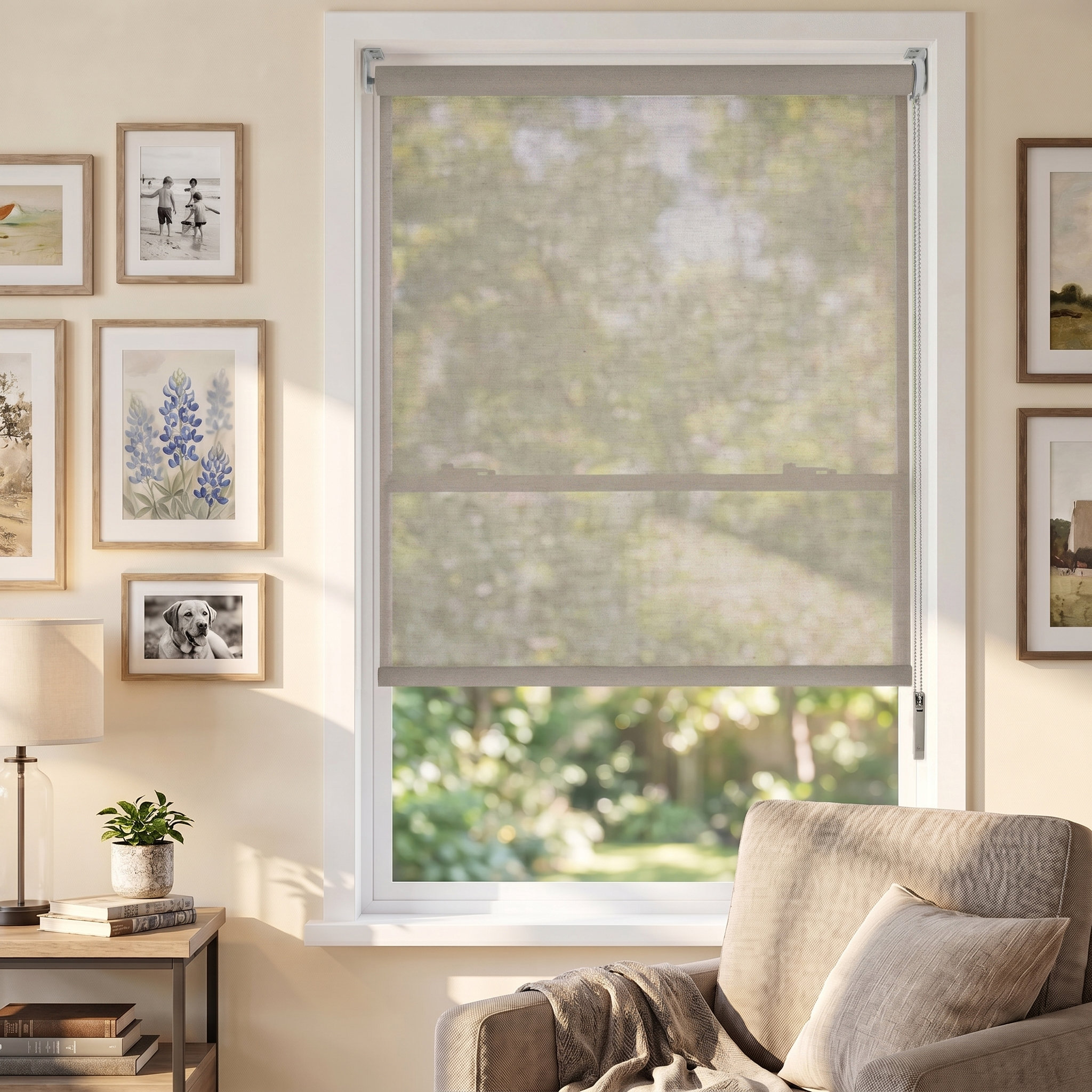 LEVOLOR Light Filtering Solar Shades | Blindster
